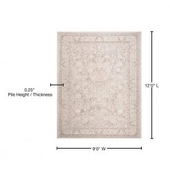 Reflection Beige/Cream 9 ft. x 12 ft. Border Distressed Area Rug by SAFAVIEH 16 Reflection Beige/Cream 9 ft. x 12 ft. Border Distressed Area Rug by SAFAVIEH -SAFAVIEH Shop beige cream safavieh area rugs rft663a 9 76 1000