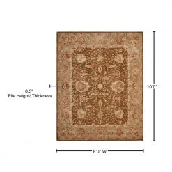 Anatolia Brown/Green 8 ft. x 10 ft. Border Area Rug by SAFAVIEH -SAFAVIEH Shop brown green safavieh area rugs an512f 8 76 1000