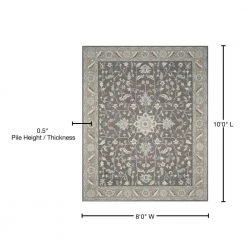 Blossom Dark Grey/Light Brown 8 ft. x 10 ft. Border Area Rug by SAFAVIEH -SAFAVIEH Shop dark gray light brown safavieh area rugs blm217a 8 76 1000