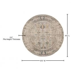 Monaco Gray/Multi 9 ft. x 9 ft. Round Border Area Rug by SAFAVIEH -SAFAVIEH Shop gray multi safavieh area rugs mnc209g 9r 76 1000