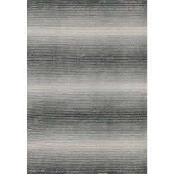 Shawl Grey/Charcoal 5 ft. x 8 ft. Ombre Area Rug by Dynamic Rugs