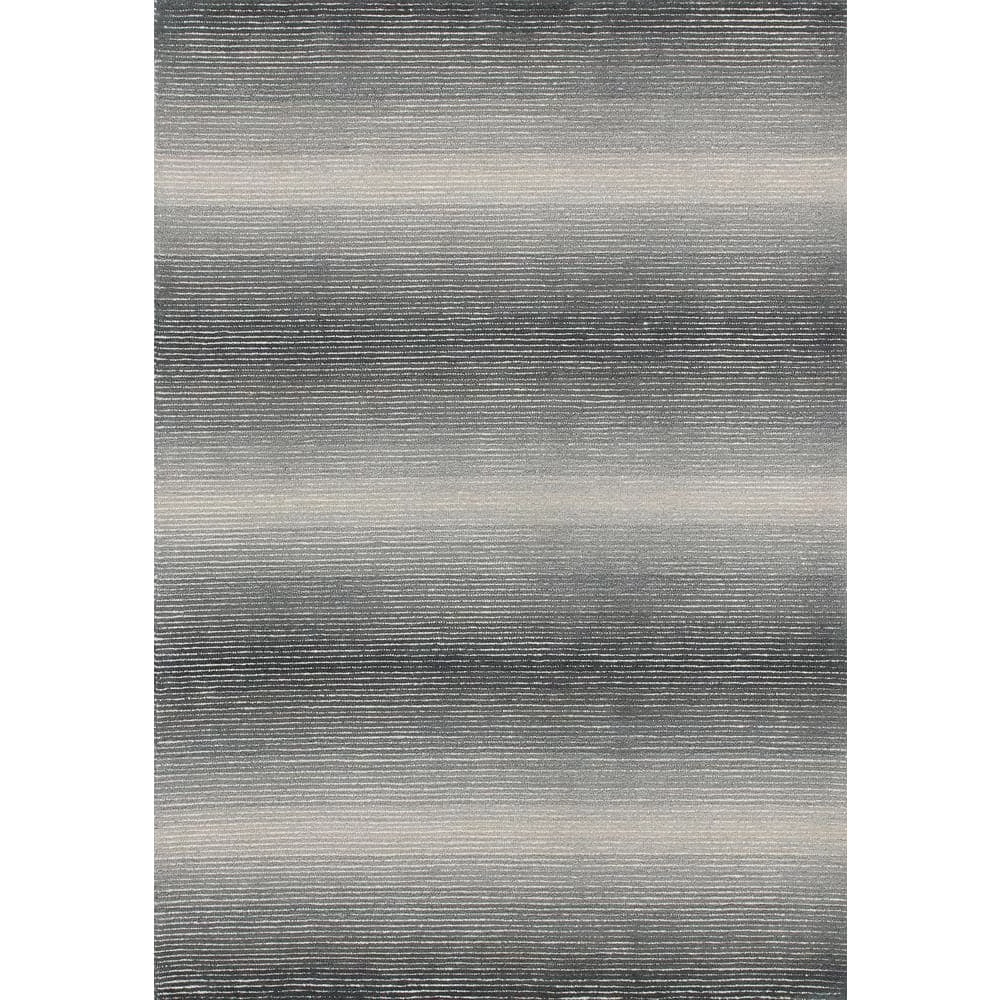 Shawl Grey/Charcoal 5 ft. x 8 ft. Ombre Area Rug by Dynamic Rugs 1 Shawl Grey/Charcoal 5 ft. x 8 ft. Ombre Area Rug by Dynamic Rugs
