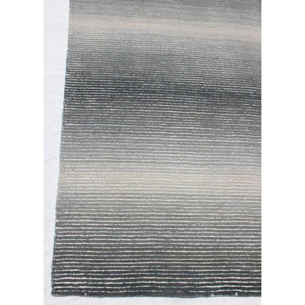 Shawl Grey/Charcoal 5 ft. x 8 ft. Ombre Area Rug by Dynamic Rugs 3 Shawl Grey/Charcoal 5 ft. x 8 ft. Ombre Area Rug by Dynamic Rugs - Image 3