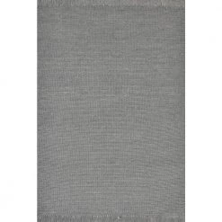 Izzy Grey 5 ft. x 8 ft. Solid Color Area Rug by Dynamic Rugs