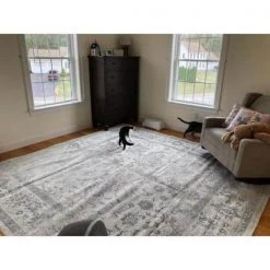 Adirondack Ivory/Sage 8 ft. x 10 ft. Border Area Rug by SAFAVIEH -SAFAVIEH Shop ivory sage safavieh area rugs adr109v 8 fa 1000