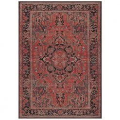 Journey Navy/Red 9 ft. x 12 ft. Machine Washable Floral Medallion Area Rug by SAFAVIEH
