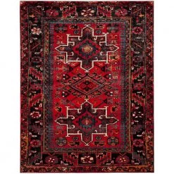 Vintage Hamadan Red/Multi 8 ft. x 10 ft. Floral Border Area Rug by SAFAVIEH