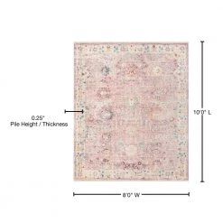 Illusion Rose/Cream 8 ft. x 10 ft. Border Area Rug by SAFAVIEH -SAFAVIEH Shop rose cream safavieh area rugs ill703f 8 76 1000