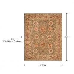 Anatolia Sage/Ivory 9 ft. x 12 ft. Border Area Rug by SAFAVIEH 17 Anatolia Sage/Ivory 9 ft. x 12 ft. Border Area Rug by SAFAVIEH -SAFAVIEH Shop sage ivory safavieh area rugs an516a 9 76 1000