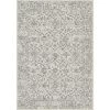 Ancient Garden Silver/Grey 4 ft. x 6 ft. Indoor Area Rug by Dynamic Rugs