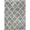 Nordic Silver/White 7 ft. 5 in. x 10 ft. 6 in. Trellis Area Rug by Dynamic Rugs