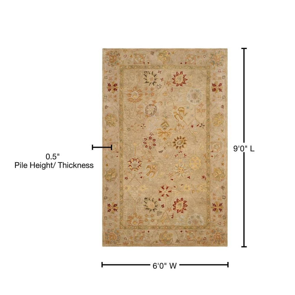 Antiquity Taupe/Beige 6 ft. x 9 ft. Border Area Rug by SAFAVIEH 8 Antiquity Taupe/Beige 6 ft. x 9 ft. Border Area Rug by SAFAVIEH - Image 8