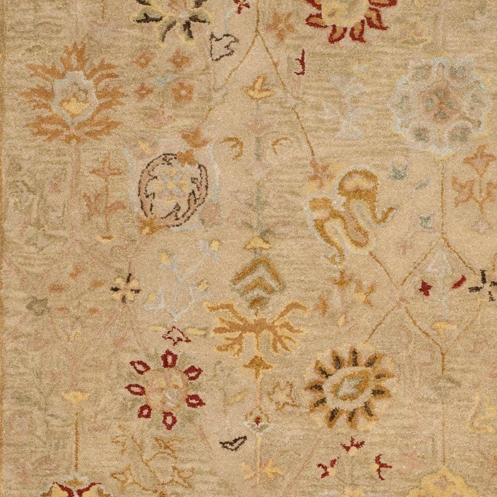 Antiquity Taupe/Beige 6 ft. x 9 ft. Border Area Rug by SAFAVIEH 6 Antiquity Taupe/Beige 6 ft. x 9 ft. Border Area Rug by SAFAVIEH - Image 6