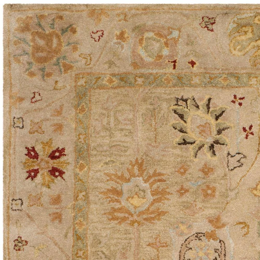 Antiquity Taupe/Beige 6 ft. x 9 ft. Border Area Rug by SAFAVIEH 7 Antiquity Taupe/Beige 6 ft. x 9 ft. Border Area Rug by SAFAVIEH - Image 7