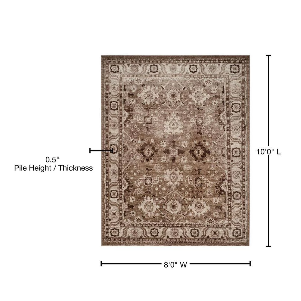 Vintage Hamadan Taupe 8 ft. x 10 ft. Border Area Rug by SAFAVIEH 8 Vintage Hamadan Taupe 8 ft. x 10 ft. Border Area Rug by SAFAVIEH - Image 8